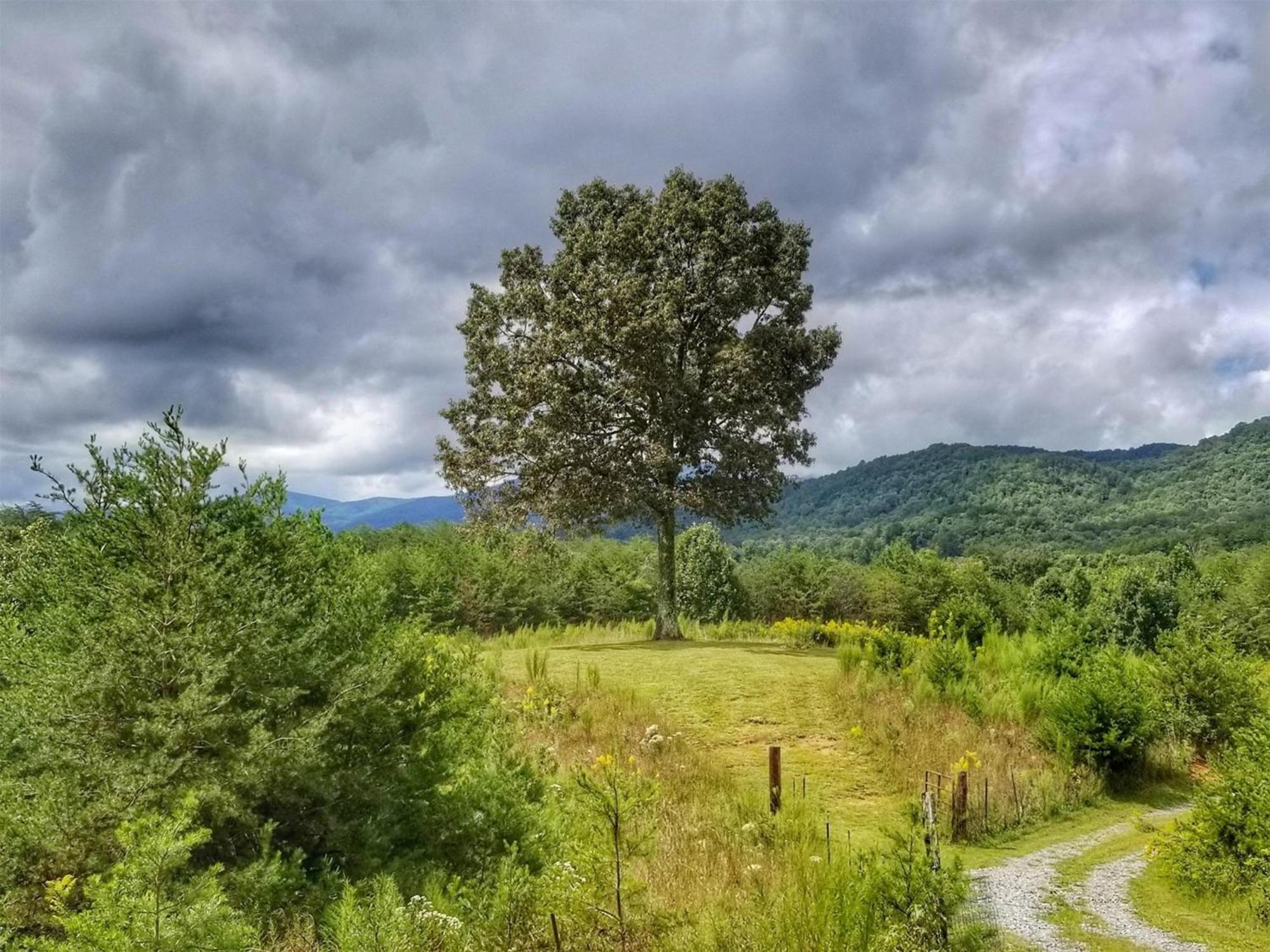 Eula Mae- Ocoee River Area Copperhill Esterno foto